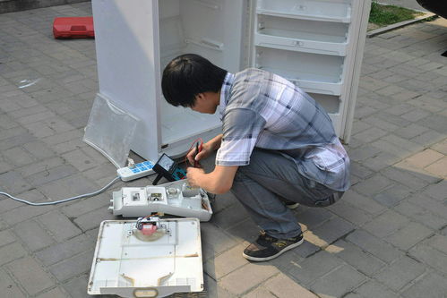 双门 三门冰箱,性价比最高,但为什么很少人会买 来听听大实话